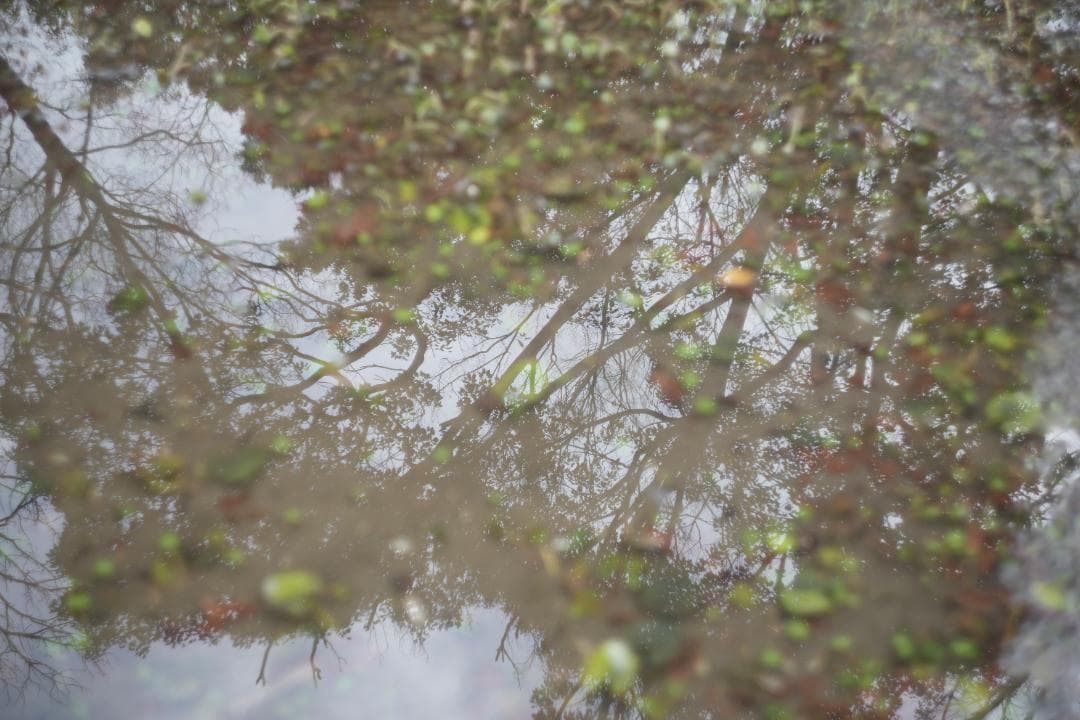 Helios44-2 58mm f2 M42 Zeissの銘玉Biotarコピー - メルカリ