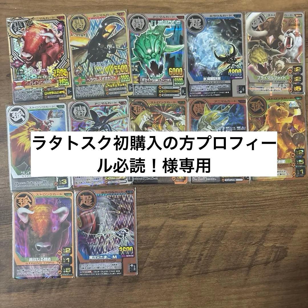 ラタトスク初購入の方プロフィール必読！様専用】アニマルカイザー