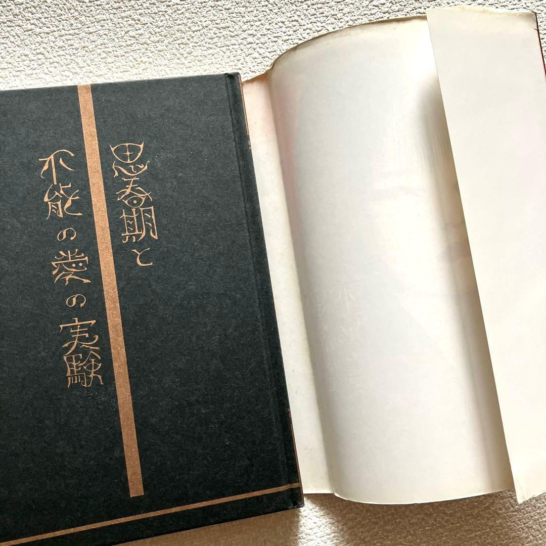 思春期と不能の愛の実験 成田朱希　初版本　北宋社