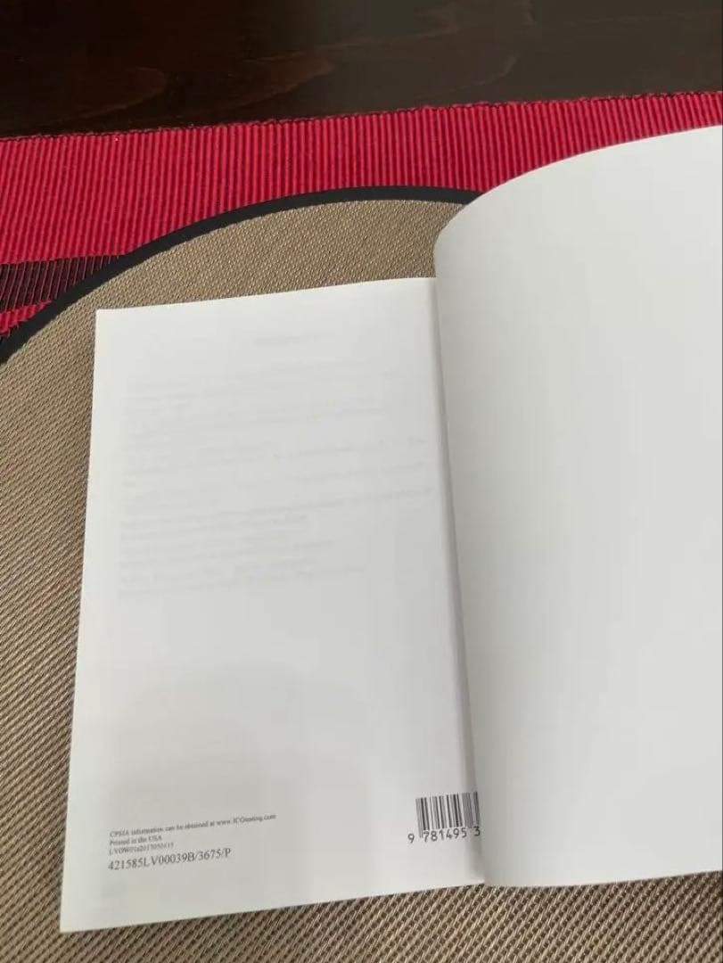 洋書 THE SANITY OF INSANITY by PAUL BRODY