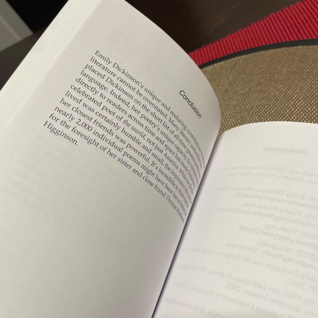 洋書 THE SANITY OF INSANITY by PAUL BRODY