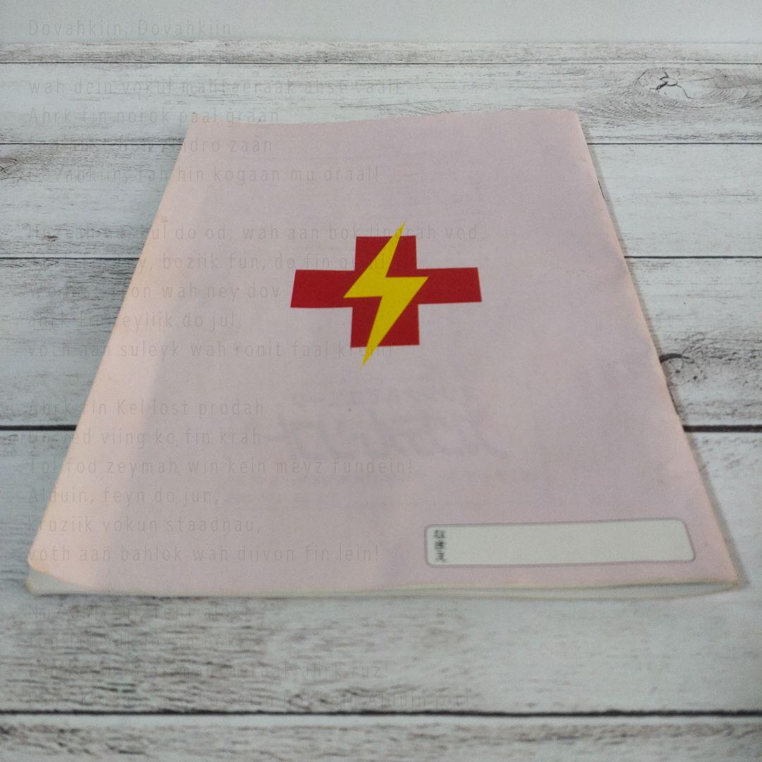 PC9801／電撃ナース　5インチFD