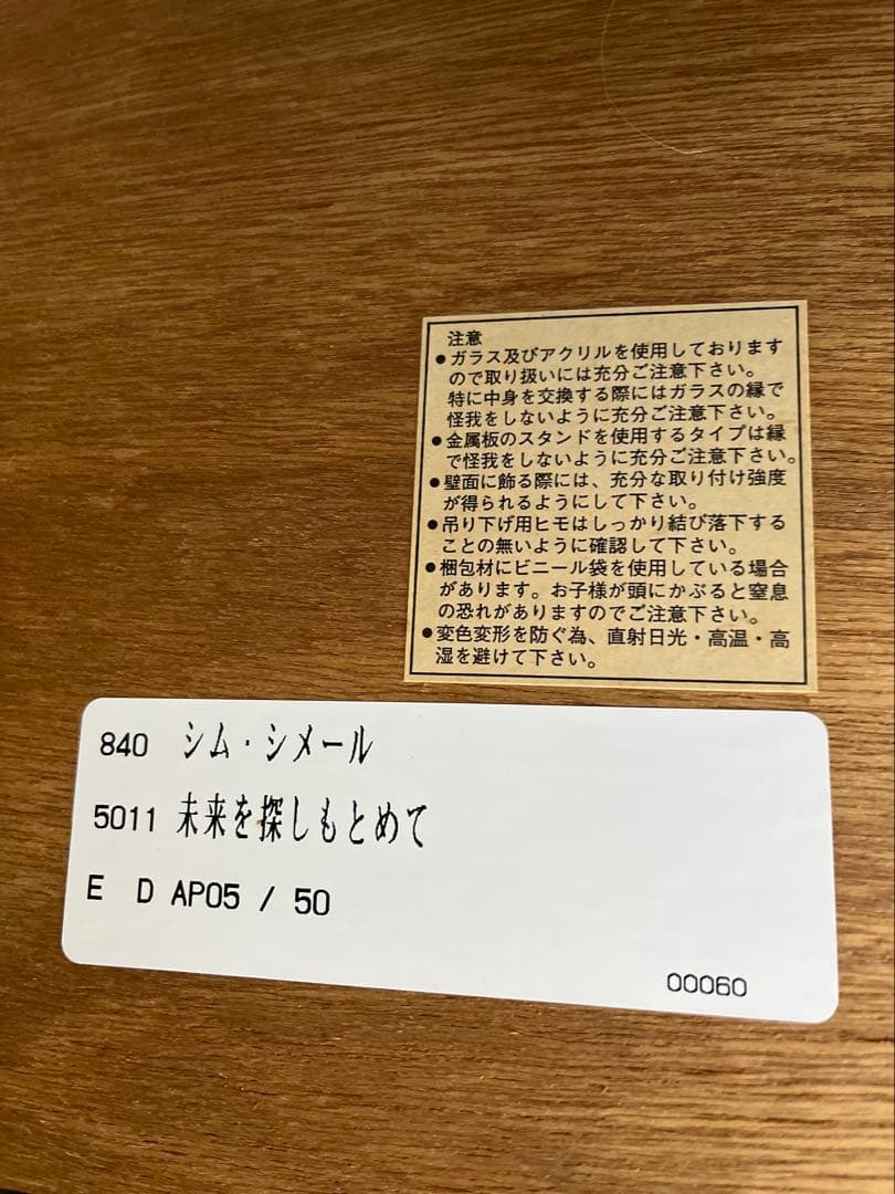 希少価値の黒豹】シムシメール 「未来を探し求めて」美品 ジークレー