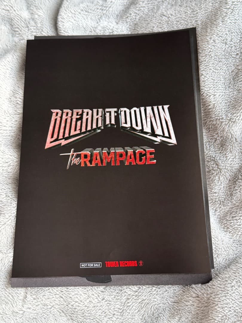 THERAMPAGE フライヤー バックトゥザフューチャー IMAX 4D 限定上映 チラシ フライヤー 3枚