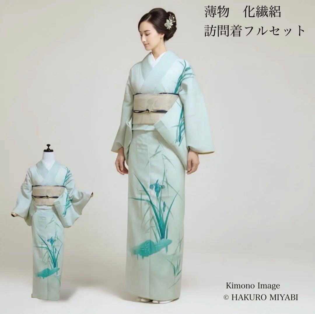 タ 薄物 化繊 絽 訪問着 フルセット 4点 【ミト】 - メルカリ