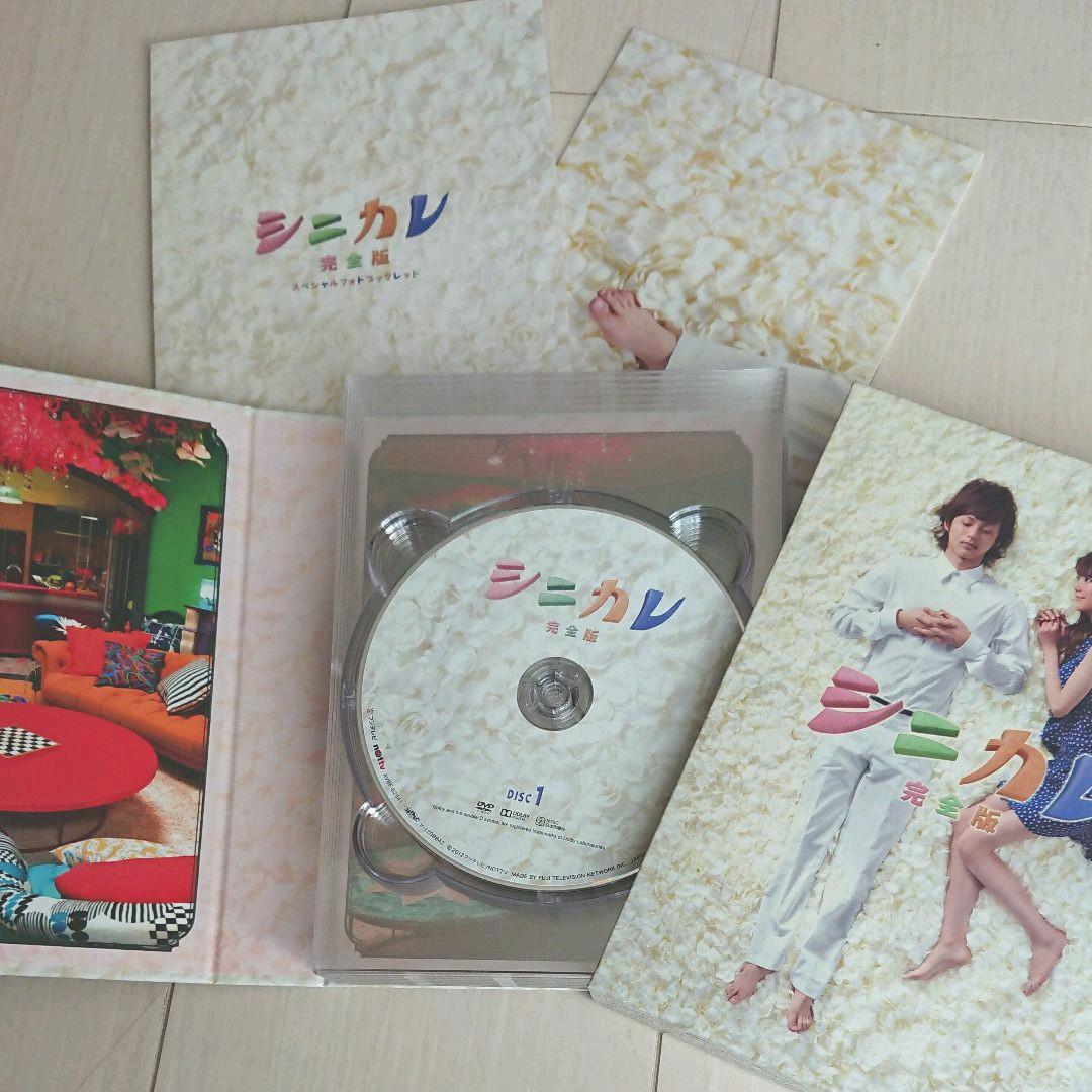 シニカレ 完全版 DVD-BOX〈6枚組〉藤ヶ谷太輔 - メルカリ