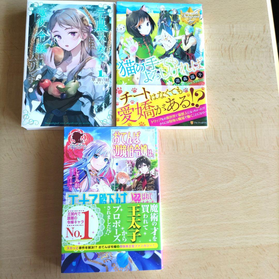 ライトノベル 小説 マンガ 19冊まとめ売り - メルカリ