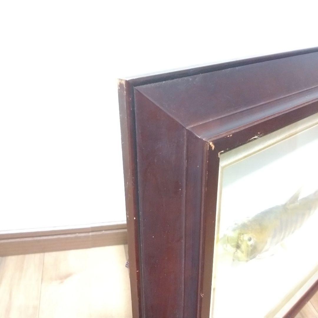 《値下げOK》希少品 尺ヤマメ 剥製 額装品 渓流の女王 山女魚 縁起物