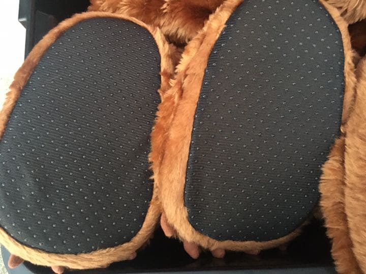 激レア！ 限定品！ ディズニー Disney ブラザーベアー 着ぐるみ 防寒