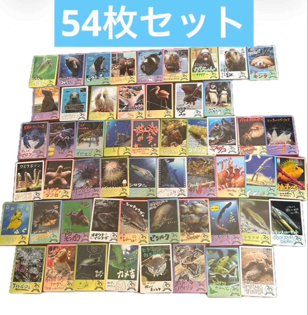 鳥羽水族館 70周年記念 コレクションカード とばすいコレカ 54枚セット
