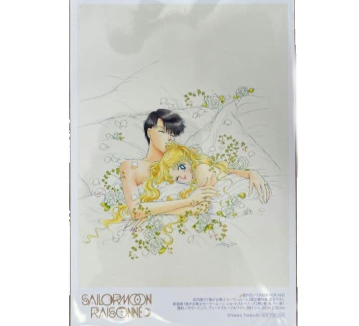 8999セーラームーン 6点セット レゾネ 豪華版 ファイル ポストカード