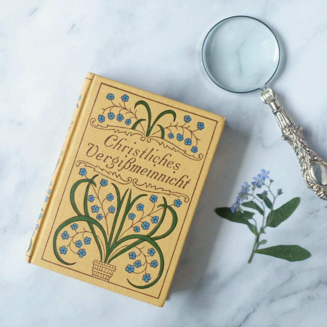 ドイツ 古書 アンティーク クリスチャン 勿忘草のメモリアルブック 洋書 ドイツ 古書 アンティーク クリスチャン 勿忘草のメモリアルブック