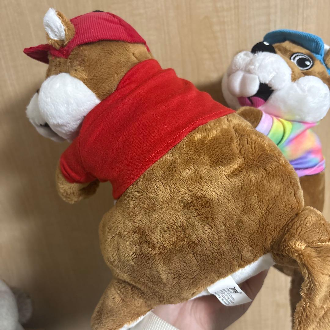 バッキーズ アメリカ限定 アドバタイジング 日本未発売 アメトイ