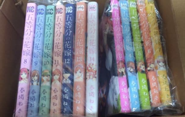 激レア 新品 希少 限定セット ブルース・リー 死亡遊戯 下敷き