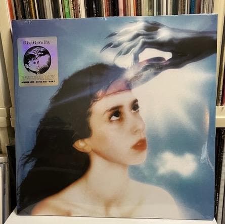 Magdalena Bay - Imaginal disk 2LP レコード - メルカリ