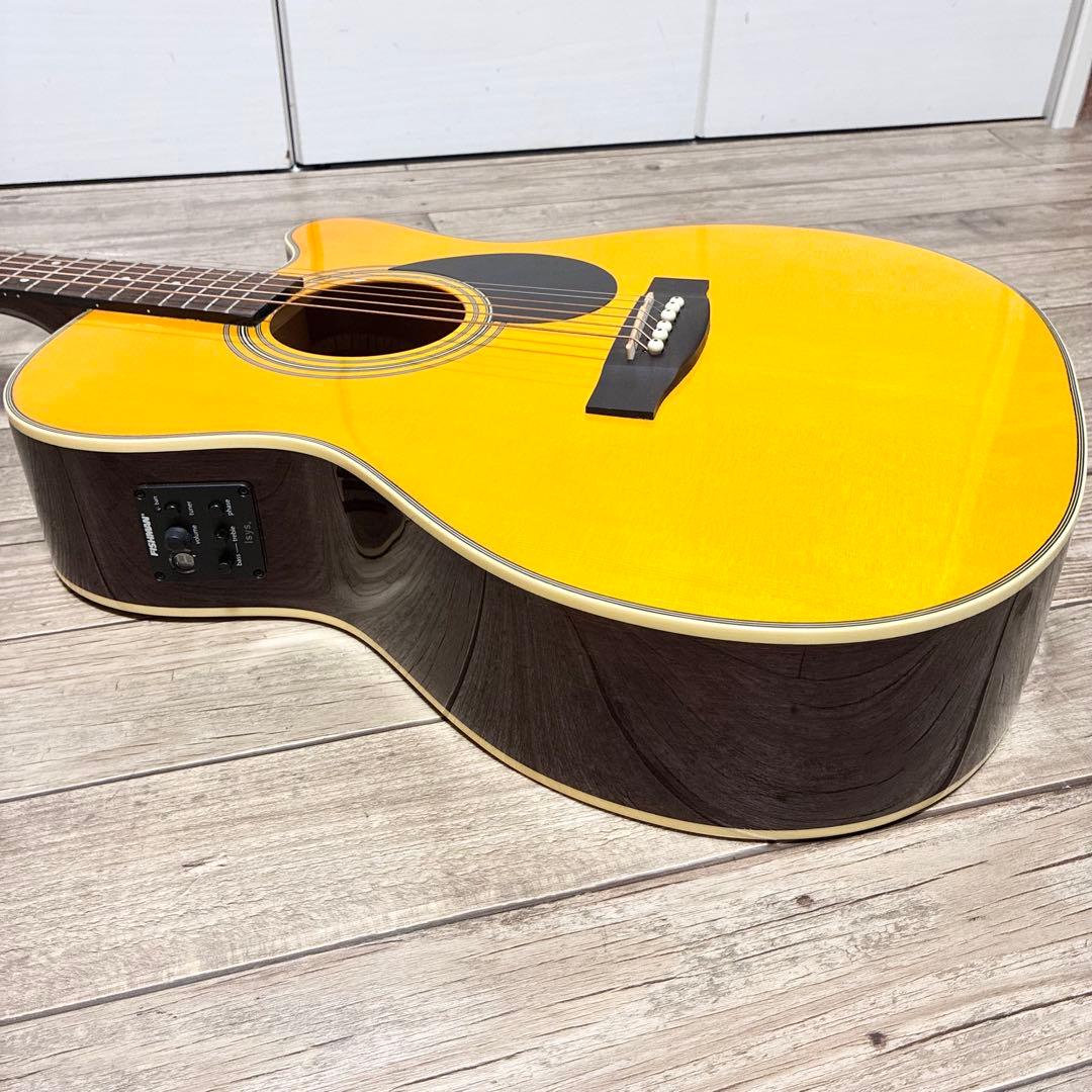 良品】HEADWAY HEC-48 SB エレアコ セミハードケース付 - ギター激安