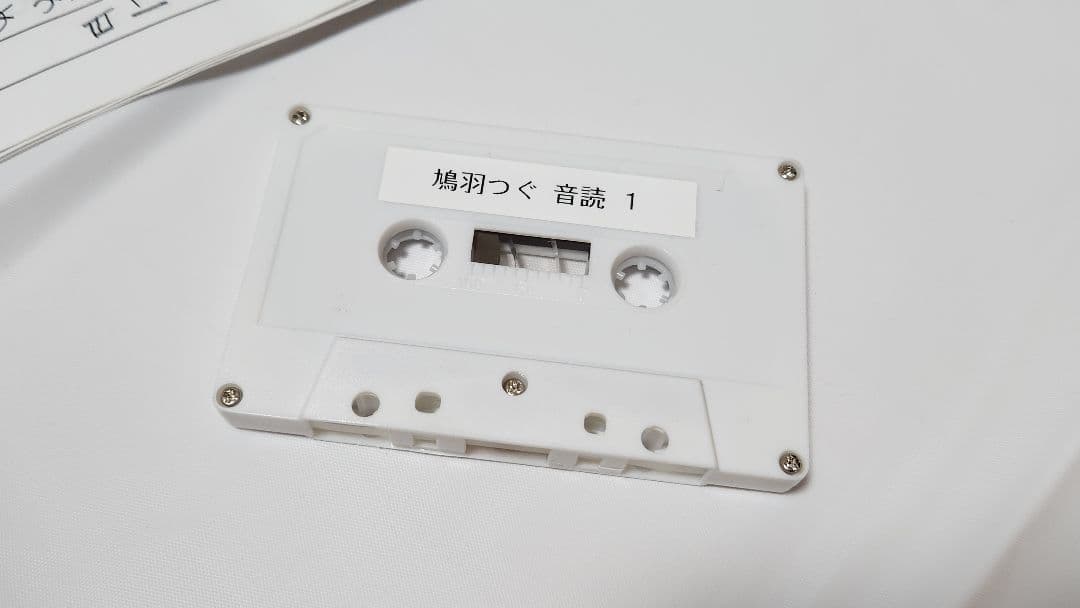 鳩羽つぐ 『夏休み』クラウドファンディング 絵日記 写真 DVD カセットテープ