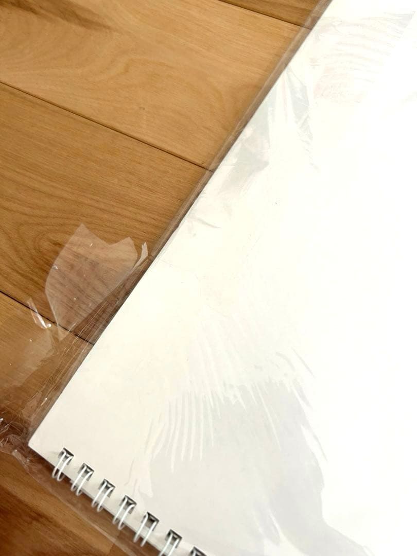 希少】スタジオジブリ アートフレームカレンダー 2006年〜2016年 宮崎