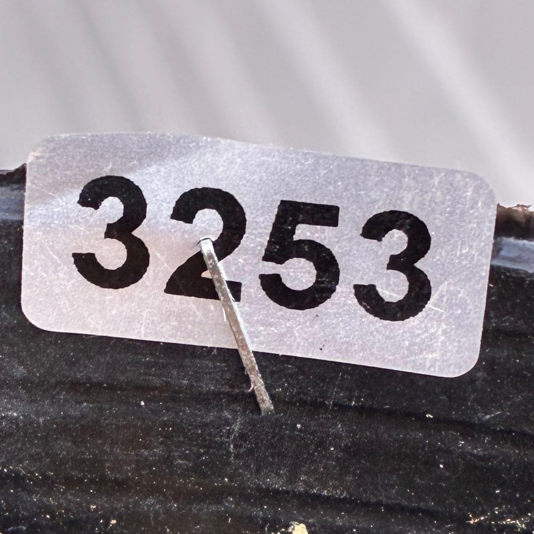 オ*ン様 ☘️蕾付き☘️根パンパン❤️沢山新芽元気株❤️3253⭐️強香⭐️強烈