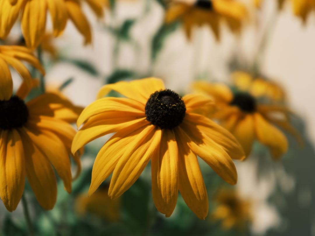 Fujinon GFレンズ 35-70mm f/4.5-5.6