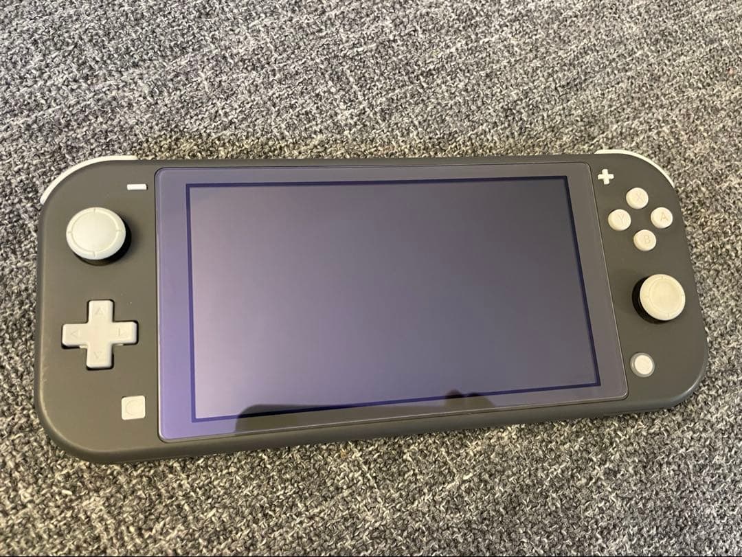 switchライト 本体のみ グレーとあつ森ケース 即納 ニンテンドー スイッチライト ケース Nintendo Switch Lite