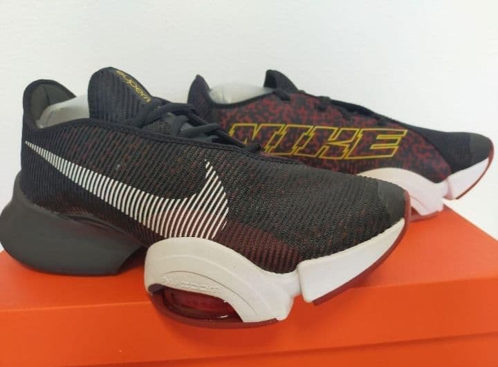 Japanese Shōichi Iwasaki著 日本語 岩崎祥一 洋書 Japanese 日本語