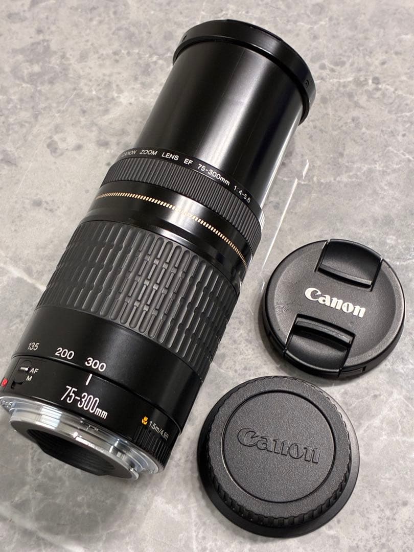 ⭐️美品⭐️Canon EF 75-300mm F/4-5.6 USM