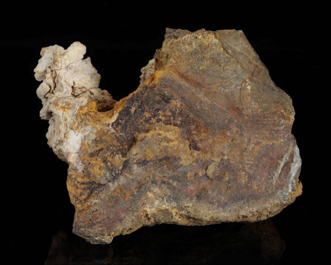 は*よ様 根尾川 菊花石 白菊 紋石 台座 共箱付 1.2kg 鑑賞石 原石 盆