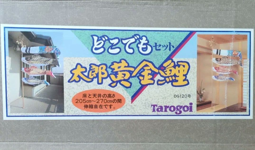 榊原　太郎黄金鯉　室内向け 鯉のぼり 高さ調整可能