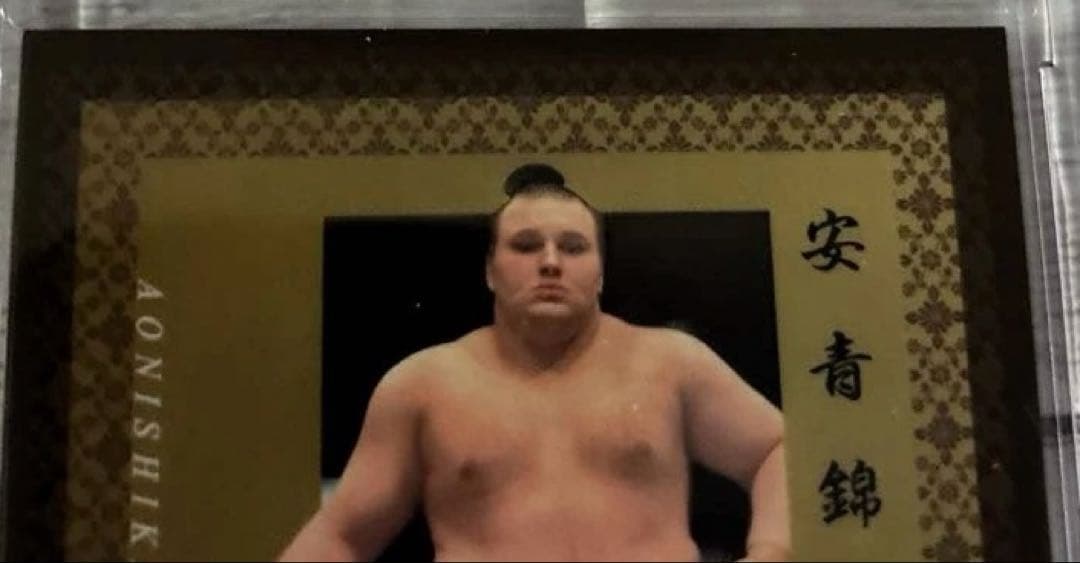 大相撲 BBM 2026 SUMO CARDS インサートカード 明星 安青錦 - メルカリ