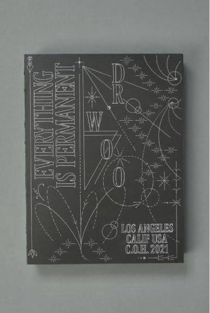 Dr.Woo Everything is Permanent 本 Amazon.co.jp: Dr. Woo 作品集 サイン入りEverything is Permanent