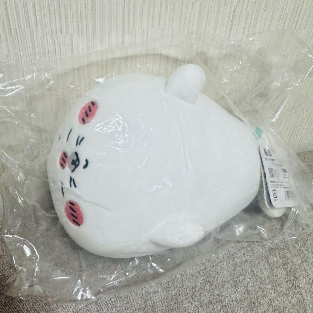 ナガノの水族館 アザラシ ぬいぐるみ くじ C賞 - メルカリ