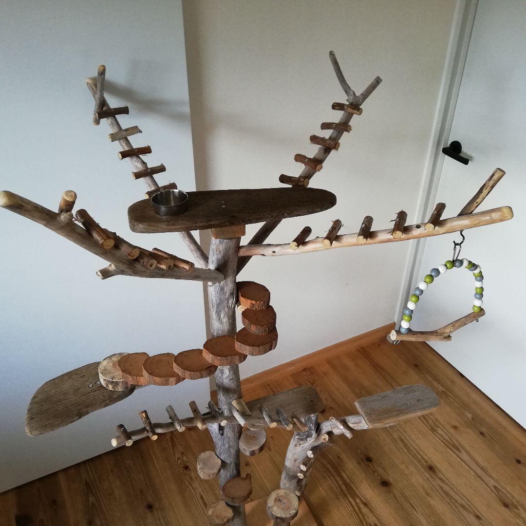 バードアスレチックジム大型 ㉝ 天然木 自然木 流木 止まり木 インコ