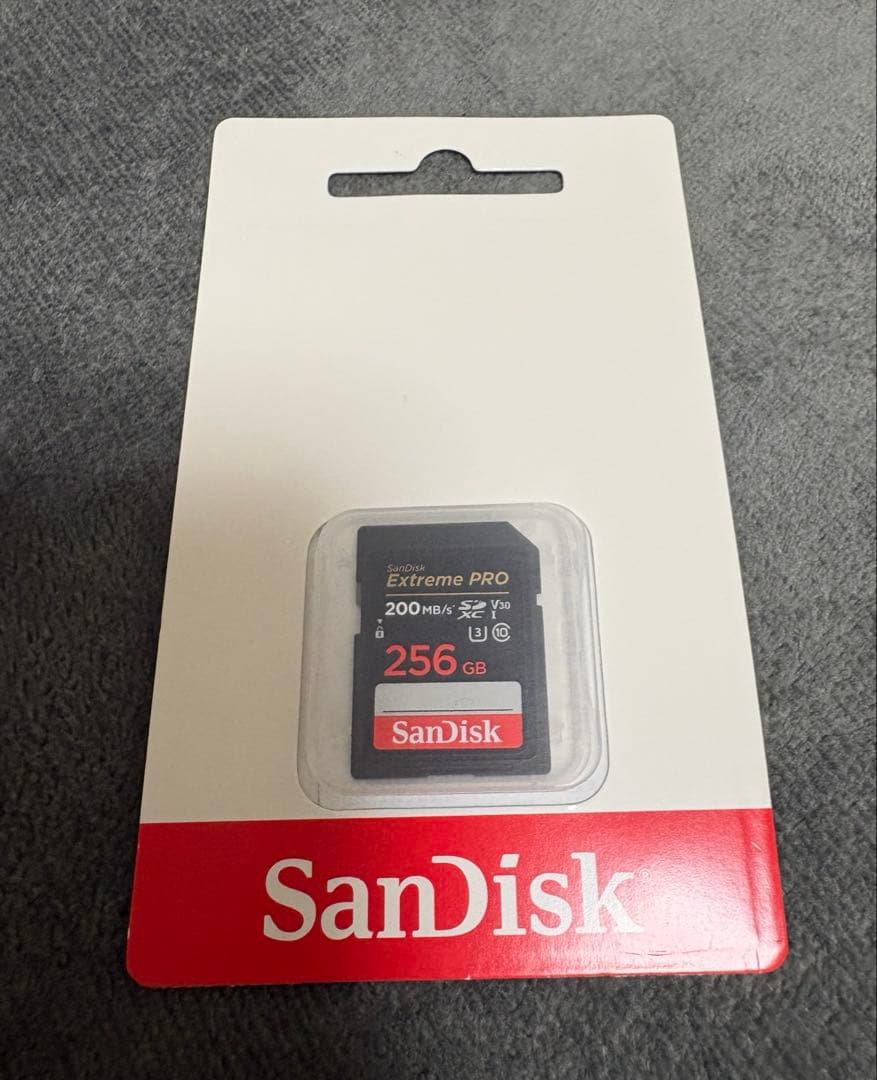 LUMIX DC-TZ99 レザーケース＆メモリカード付 - メルカリ