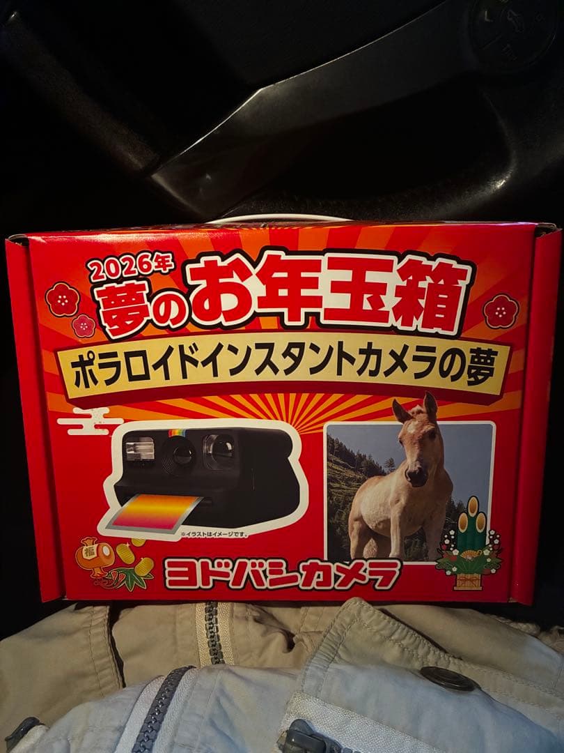 あ*認様 ヨドバシカメラ　夢のお年玉箱　ポラロイドインスタントカメラの夢 ヨドバシ) お年玉箱 ポラロイドカメラの夢 - メルカリ