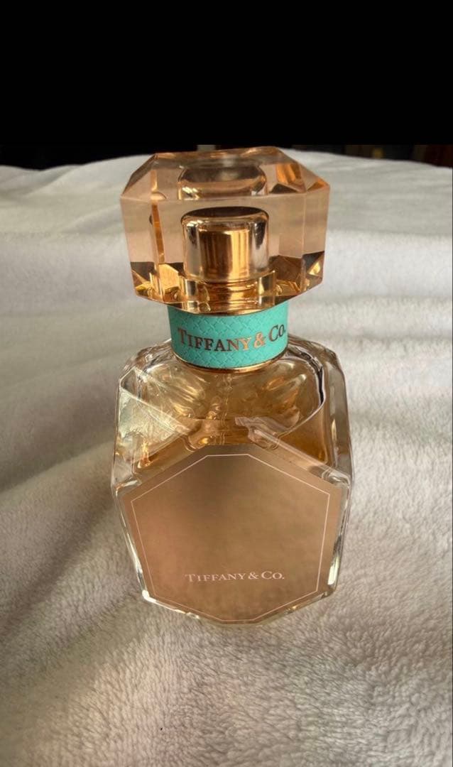 MRJ　ティファニー リターン トゥ ティファニー™ ハート タグ カラビナ モルガナイト