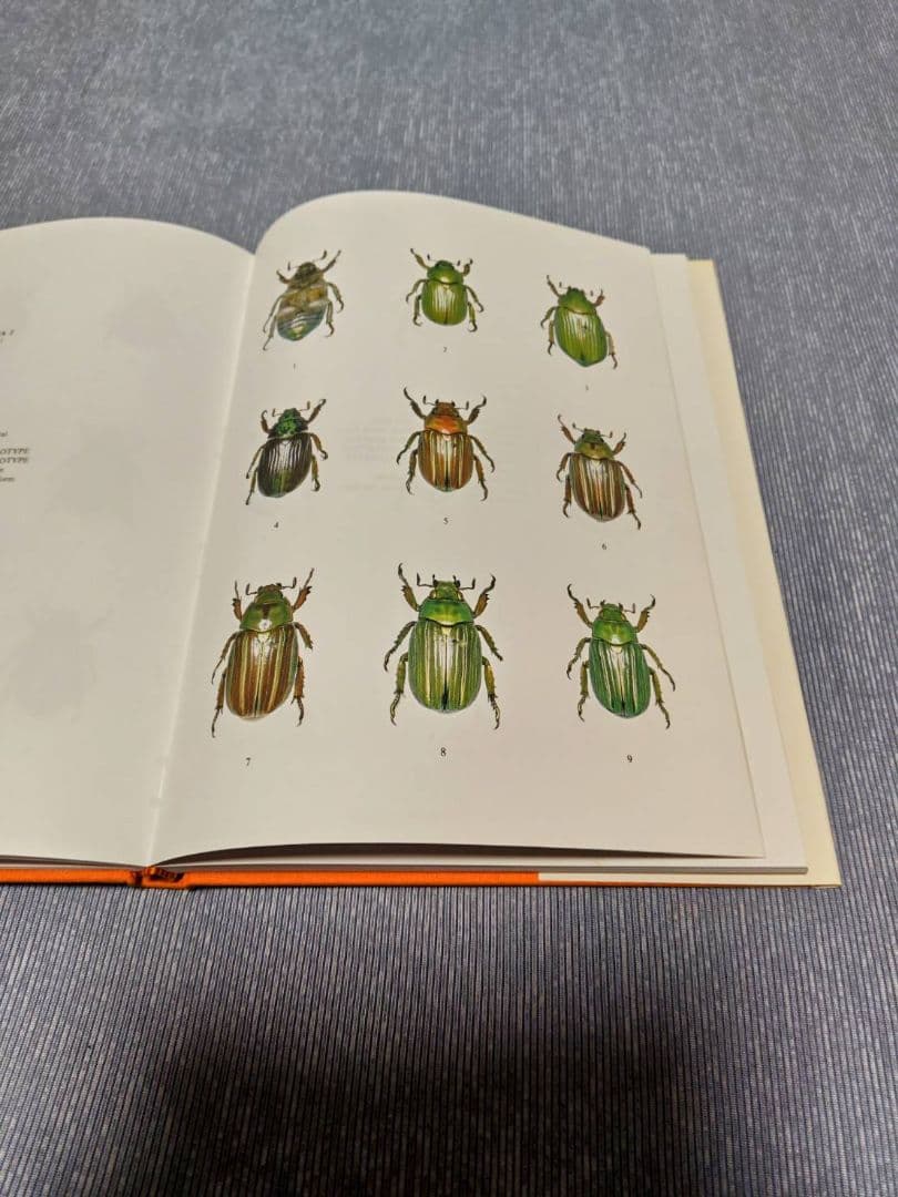 昆虫標本 プラチナコガネ文献