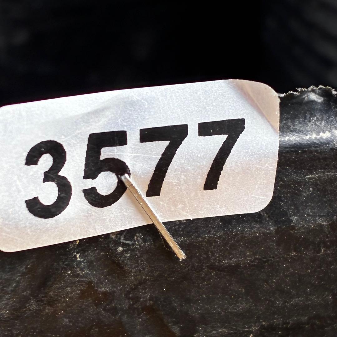 ラ*ク様 3577☘️蕾花付☘️極上☘️⭐️原生地採取⭐️croaticus⭐️