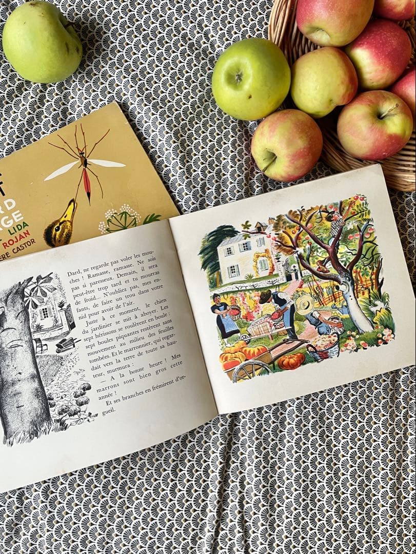 ◆希少フランス名作1900年代カストール絵本、動物自然昆虫鳥かわいいイラスト SALE希少フランス名作1900年代カストール絵本動物自然昆虫鳥イラスト