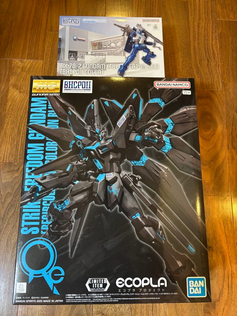 MGストライクフリーダムガンダム リサーキュレーション EGガンダム