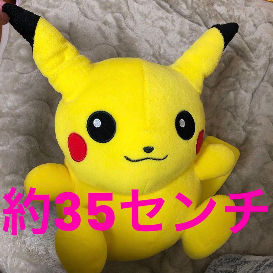 ポケモンセンター 愛知万博ポケパーク ポケモンドール ピカチュウ