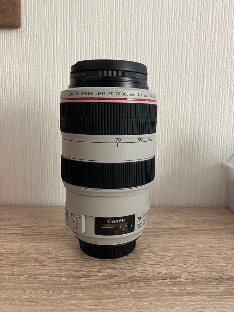 S • Canon EF 70-300mm 81HH7qBgLOL._AC_UF350,