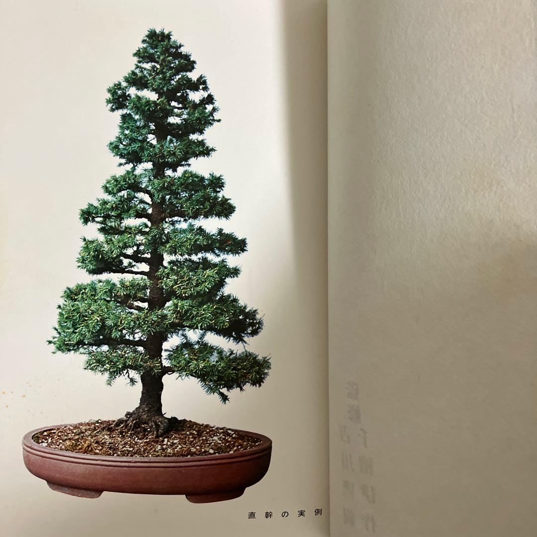 高等教範 盆栽の基本樹形 上下巻 中津千吉 - 趣味・スポーツ・実用販売 中