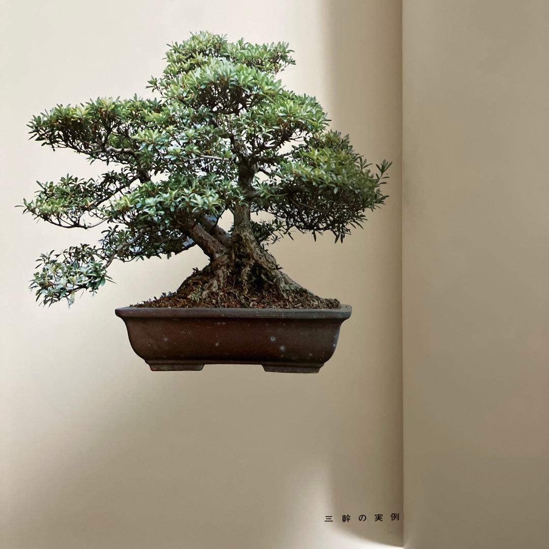 高等教範 盆栽の基本樹形 上下巻 中津千吉 - 趣味・スポーツ・実用販売 中