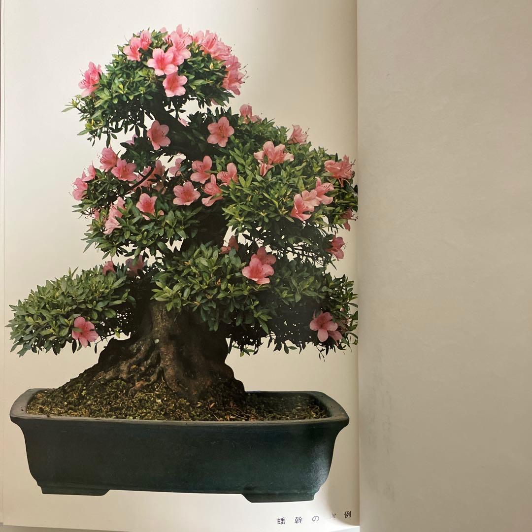 高等教範 盆栽の基本樹形 上下巻 中津千吉 - 趣味・スポーツ・実用販売 中