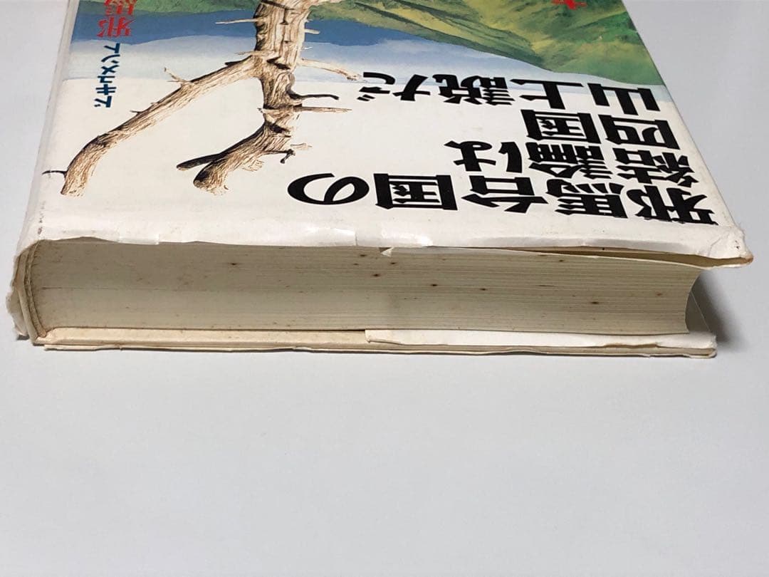 邪馬台国の結論は四国山上説だ 大杉博 - メルカリ