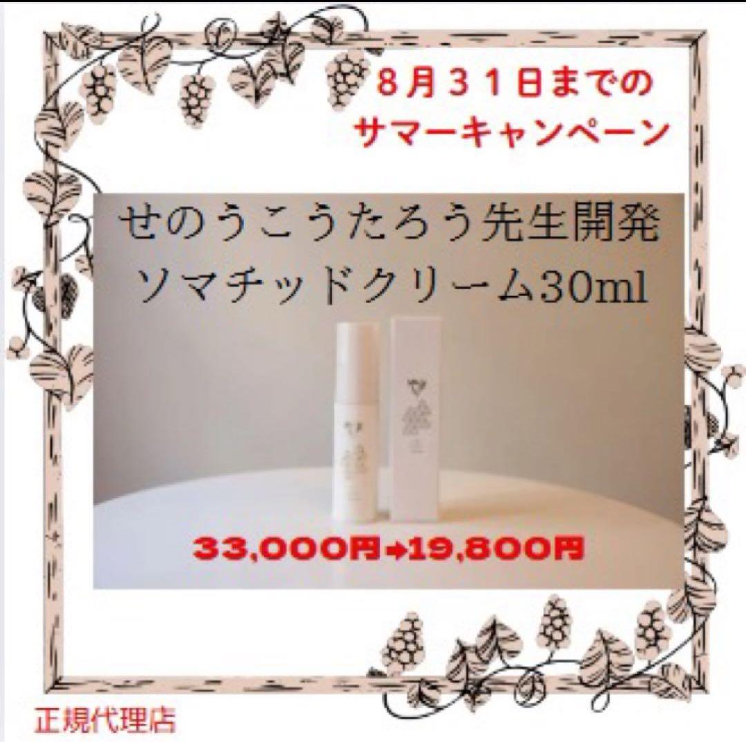 業務用 リ・モデルプレミアム 500g（ボディクリーム） ✖️2個セット