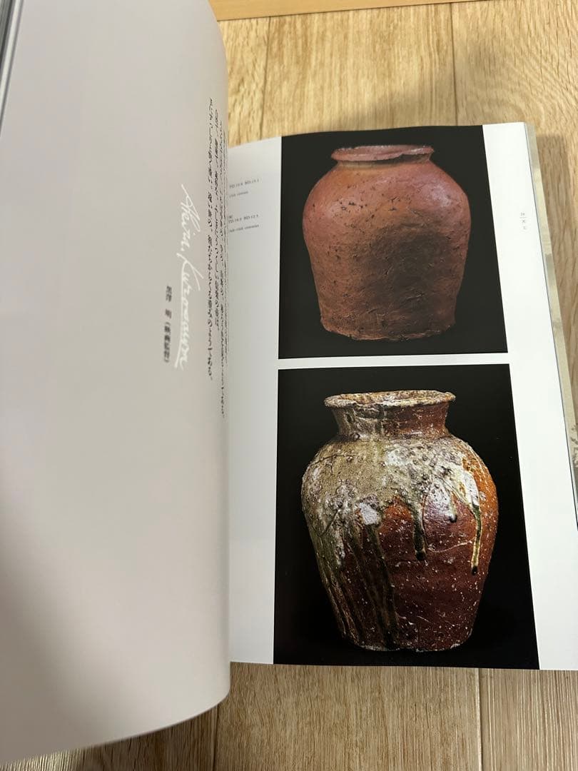 希少 1点のみ 特別展 信樂 －壺中の天 1999 MIHO MUSEUM - メルカリ