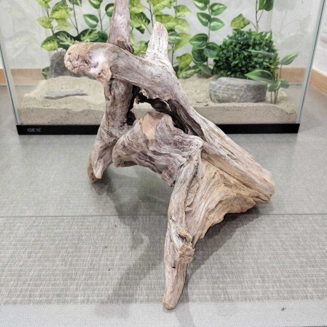 No.1156】レア形状シェルター流木 爬虫類レイアウト✫インテリア