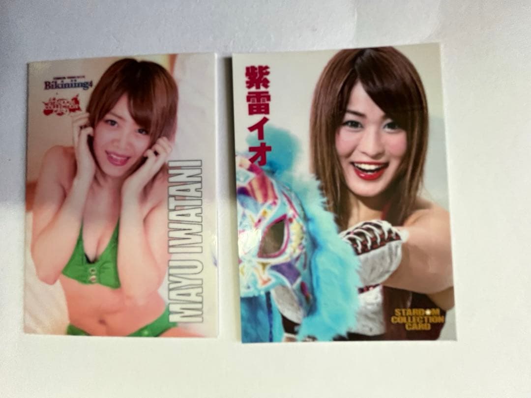 スターダム観戦ガイドブック 紫雷イオ、岩谷麻優、サンダーロック